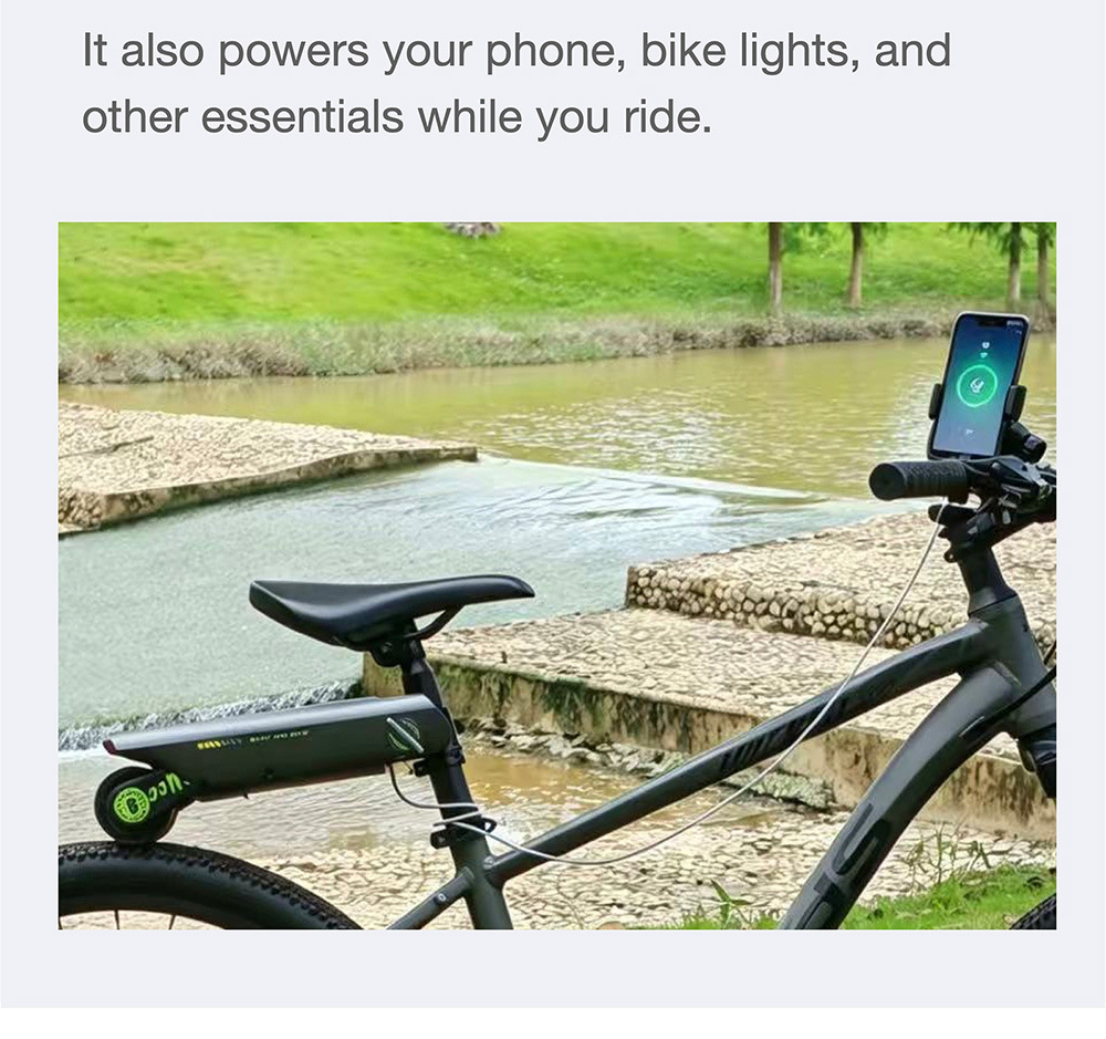 Electric booster